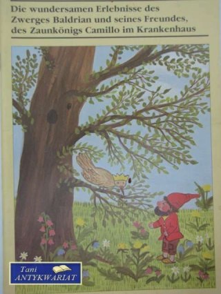 DIE WUNDERSAMEN ERLEBNISSES DES ZWERGES BALDRIAN UND SI
