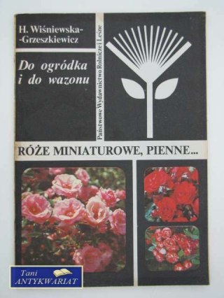 RÓŻE MINIATUROWE PIENNE