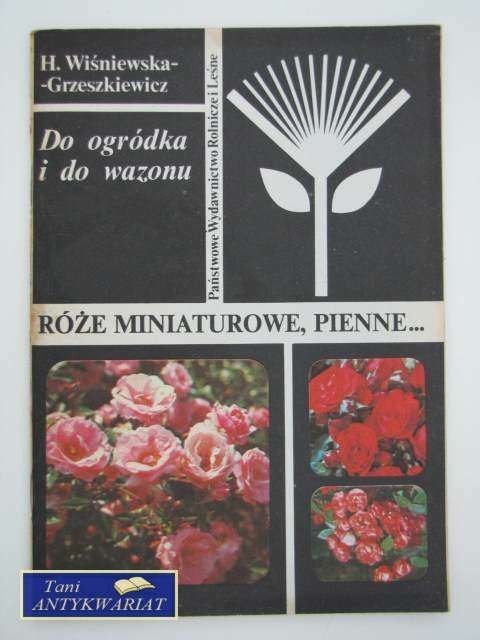RÓŻE MINIATUROWE PIENNE
