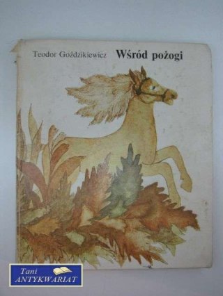 WŚRÓD POŻOGI