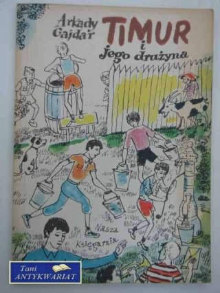 TIMUR I JEGO DRUŻYNA
