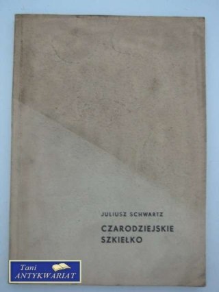 CZARODZIEJSKIE SZKIEŁKO