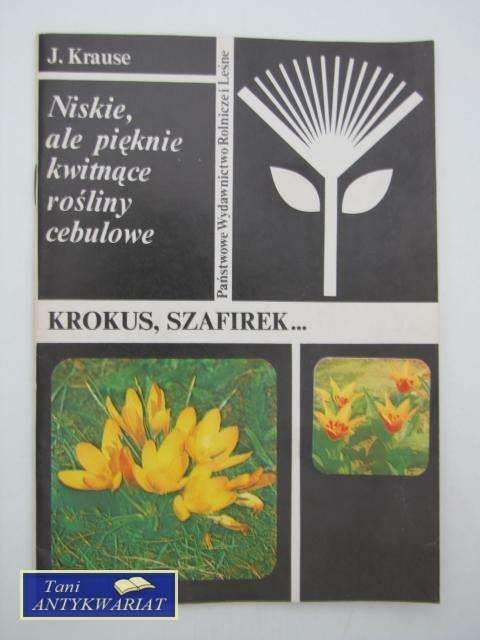 KROKUS, SZAFIREK...