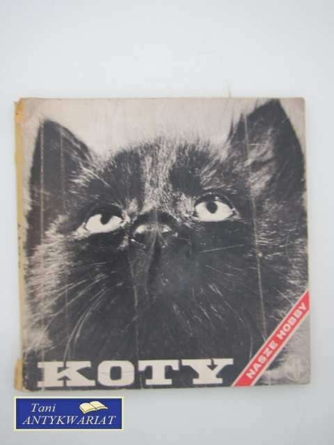 NASZE HOBBY - KOTY