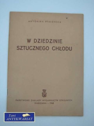 W DZIEDZINIE SZTUCZNEGO CHŁODU