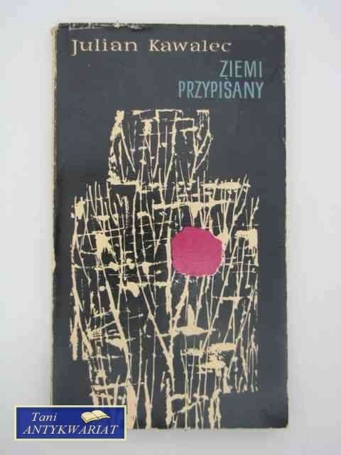 ZIEMI PRZYPISANY ZIEMI PRZYPISANY