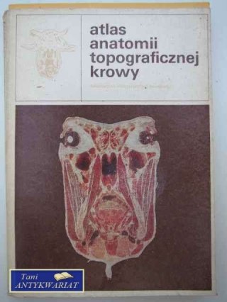 ATLAS ANATOMII TOPOGRAFICZNEJ KROWY