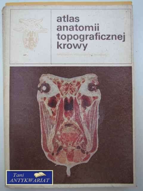ATLAS ANATOMII TOPOGRAFICZNEJ KROWY