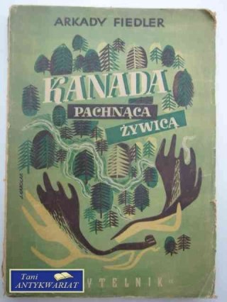 KANADA PACHNĄCA ŻYWICĄ