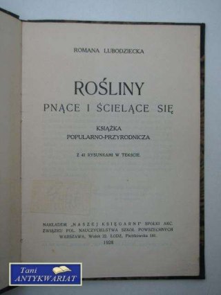 ROŚLINY PNĄCE I ŚCIELĄCE SIĘ