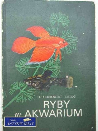 RYBY W AKWARIUM