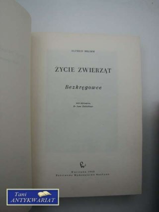 ŻYCIE ZWIERZĄT BEZKRĘGOWCE