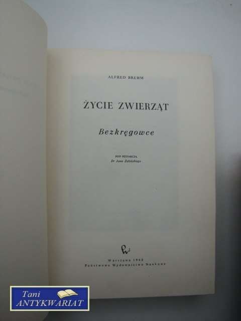 ŻYCIE ZWIERZĄT BEZKRĘGOWCE ŻYCIE ZWIERZĄT BEZKRĘGOWCE