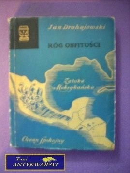 RÓG OBFITOŚCI