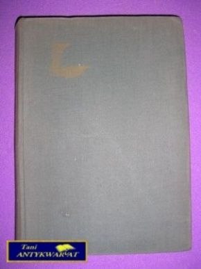 SAFARI MINGI - Korabiewicz