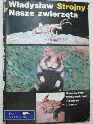 NASZE ZWIERZĘTA