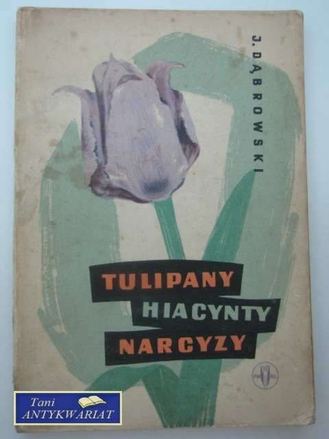 TULIPANY HIACYNTY NARCYZ