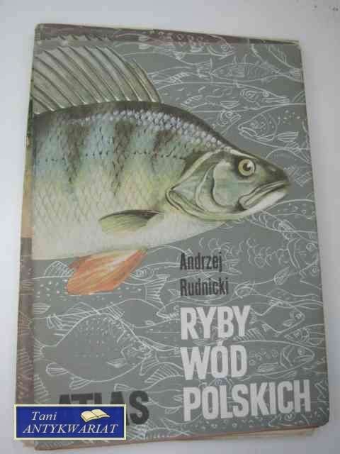 RYBY WÓD POLSKICH RYBY WÓD POLSKICH