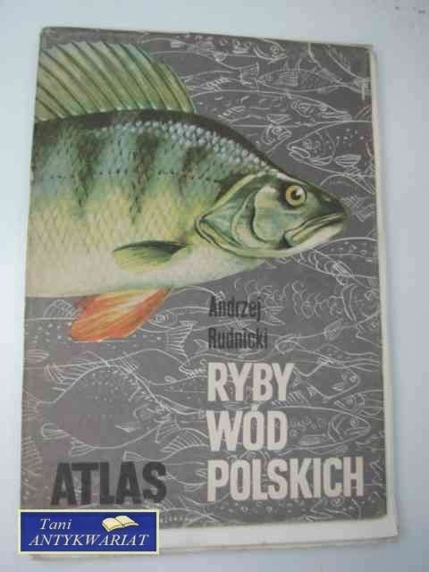 RYBY WÓD POLSKICH