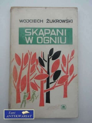 SKĄPANI W OGNIU