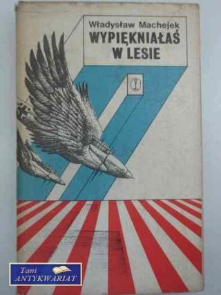 WYPIĘKNIAŁAŚ W LESIE