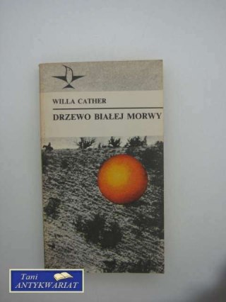 DRZEWO BIAŁEJ MORWY