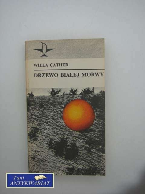 DRZEWO BIAŁEJ MORWY