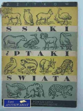 SSAKI I PTAKI ŚWIATA