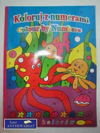 KOLORUJ Z NUMERAMI