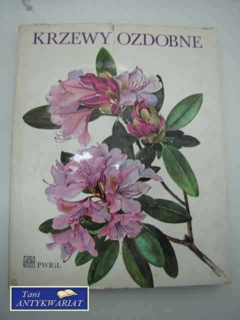 KRZEWY OZDOBNE