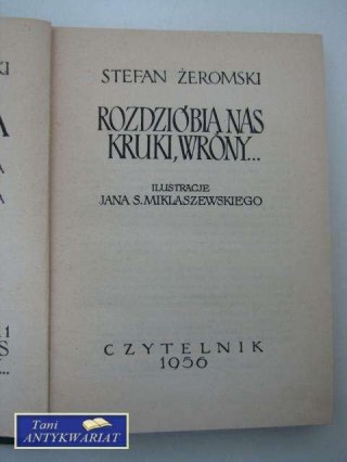 ROZDZIOBIĄ NAS KRUKI , WRONY