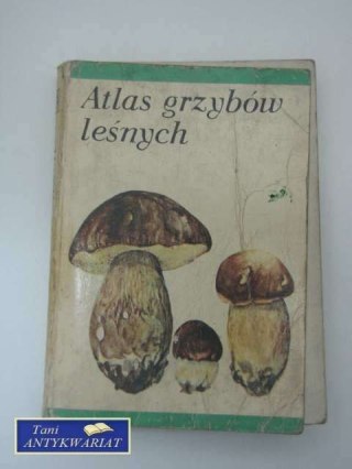 ATLAS GRZYBÓW LEŚNYCH