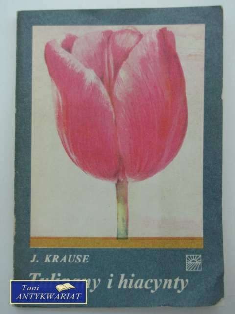 TULIPANY I HIACYNTY