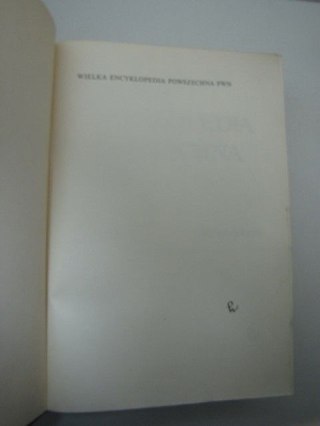 WIELKA ENCYKLOPEDIA POWSZECHNA PWN 10