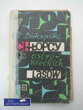 CHŁOPCY Z OSTROWIECKICH LASÓW