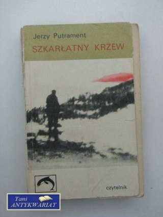 SZKARŁATNY KRZEW