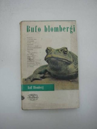 BUFO BLOMBERGI