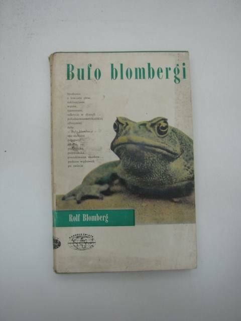 BUFO BLOMBERGI