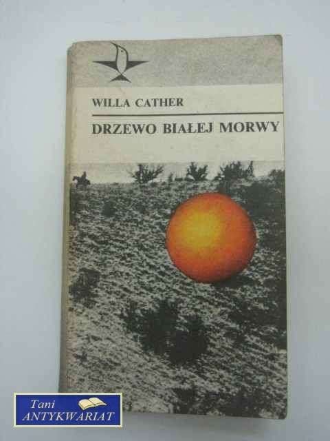 DRZEWO BIAŁEJ MORWY