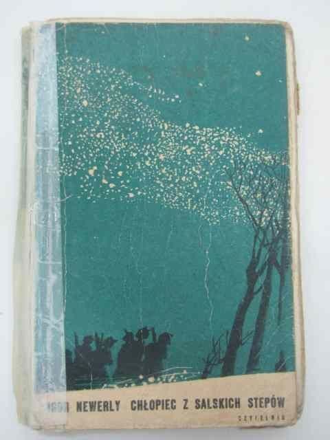 CHŁOPIEC Z SALSKICH STEPÓW