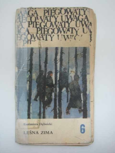 LEŚNA ZIMA