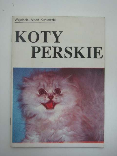 KOTY PERSKIE
