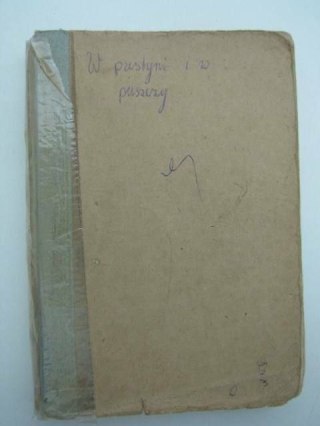 W PUSTYNI I W PUSZCZY