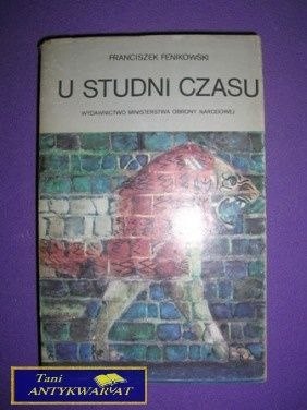 W STUDNI CZASU - Franciszek Fenikowski