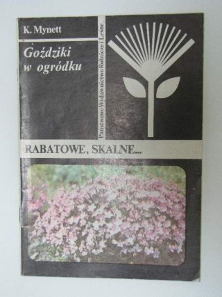 GOŹDZIKI W OGRÓDKU