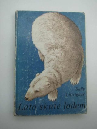 LATO SKUTE LODEM