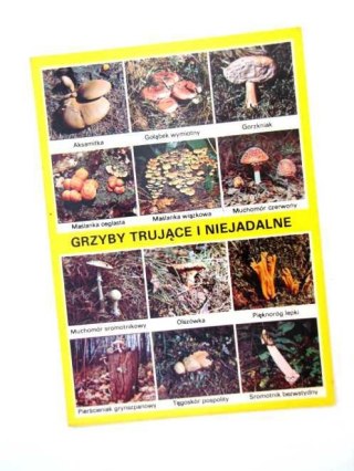 GRZYBY TRUJĄCE I NIEJADALNE