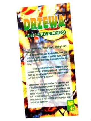 LAS ŁAGIEWNICKI - DRZEWA
