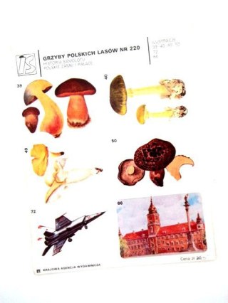 NAKLEJKI (GRZYBY POLSKICH LASÓW)