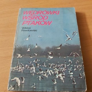 Wędrówki wśród ptaków